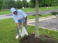 My mom planting flowers at the beautification day at church.